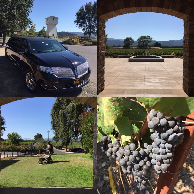 Silver Oak Cellars Napa Valley San